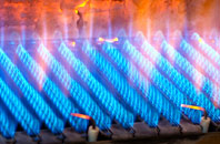 Riseholme gas fired boilers